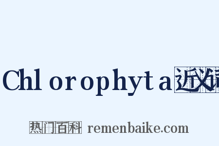 Chlorophyta近义词是什么意思的图片